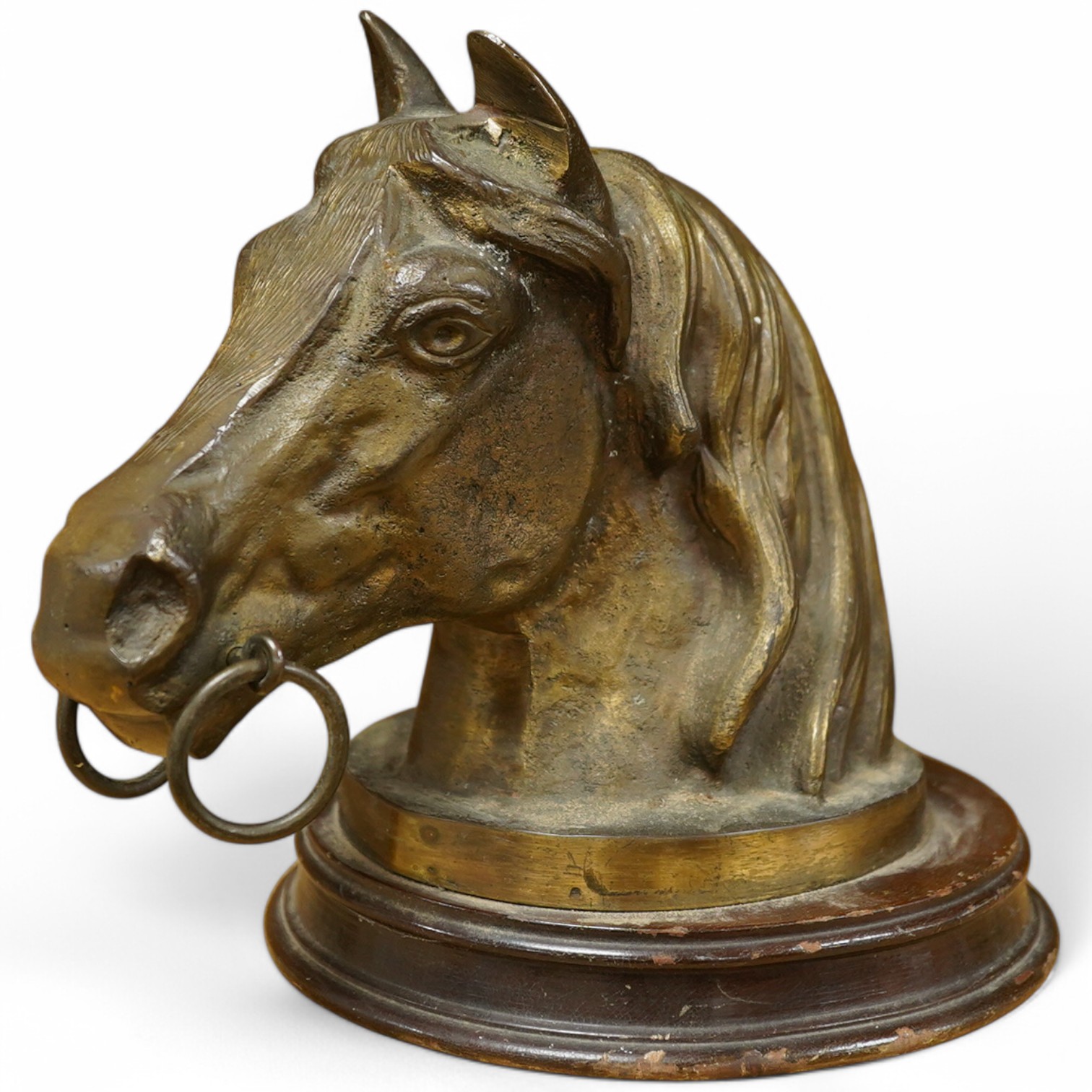 A mid 20th century mounted bronze model of a horse's head, 22cm. Condition - fair to good